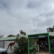 Adelaide Hills & Wildlife Experience