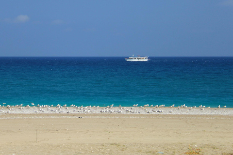 Rhodes: Safari with our driver - North - Pick ups East Coast Rhodes: Safari with experienced driver - North - East Coast