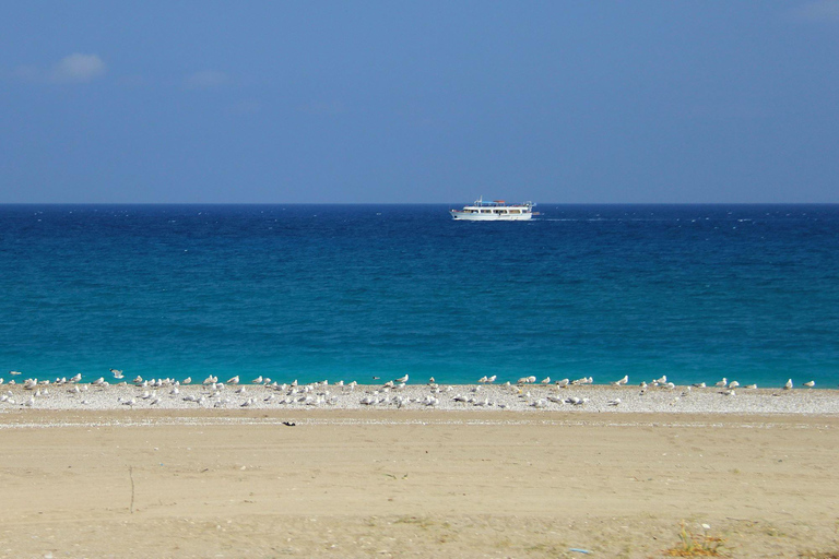 Rhodes: Safari with our driver - North - Pick ups East Coast Rhodes: Safari with experienced driver - North - East Coast