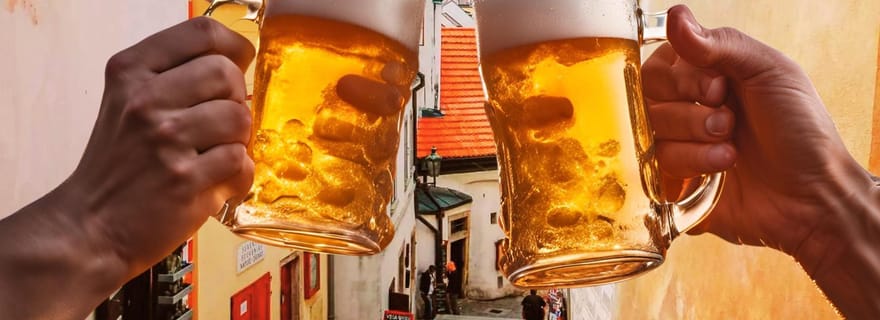 Visite de Krumlov : brasserie, pubs, bière (spa à la bière) et nourriture |3h