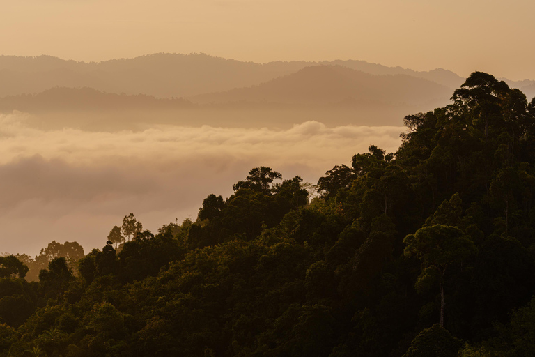 Khao Lak: ATV to Khao Khai Nui Sunrise Sea of Mist or Sunset Khao Lak: ATV Rides to Khao Khai Nui Romantic Golden Sunset