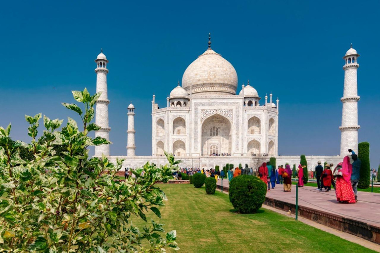 From Delhi: Private Taj Mahal Sunrise Tour with Breakfast Delhi: Private Taj Mahal Sunrise Tour By Car With Breakfast