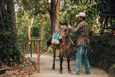 Luang Prabang: 2-Hour Countryside Horse Ride + Temple Views