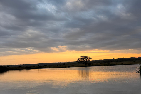 Nairobi Park Safari, Sheldrick's Orphanage & Giraffe Center Shared Drive in Open-Roof Van Game Drive
