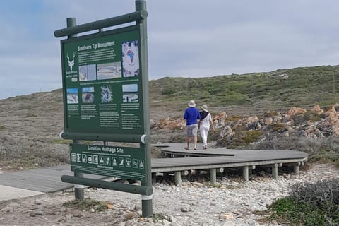 Cape Agulhas,Hermanus whales watching&stoney point penguins