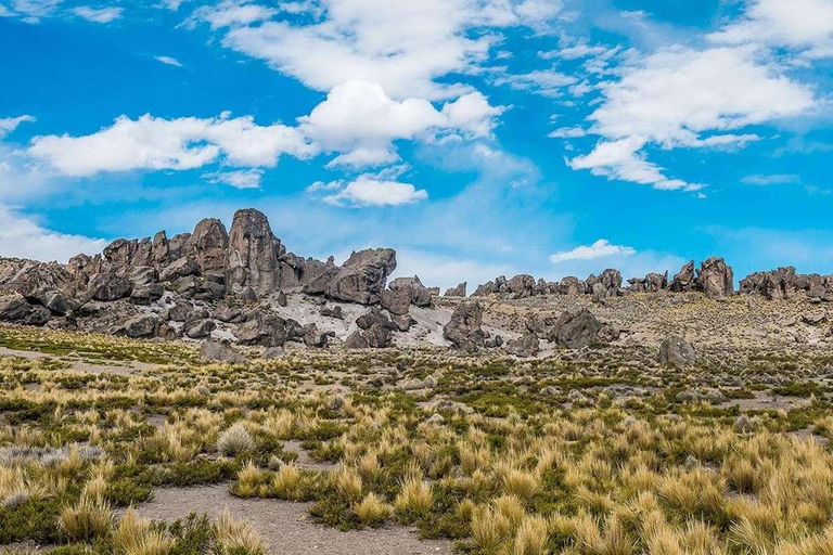 Adventure Day in Arequipa: Pillones Waterfall + Rock Forest