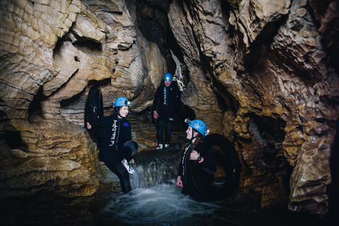 Från Auckland: Waitomo Caves Black Abyss Adventure Tour