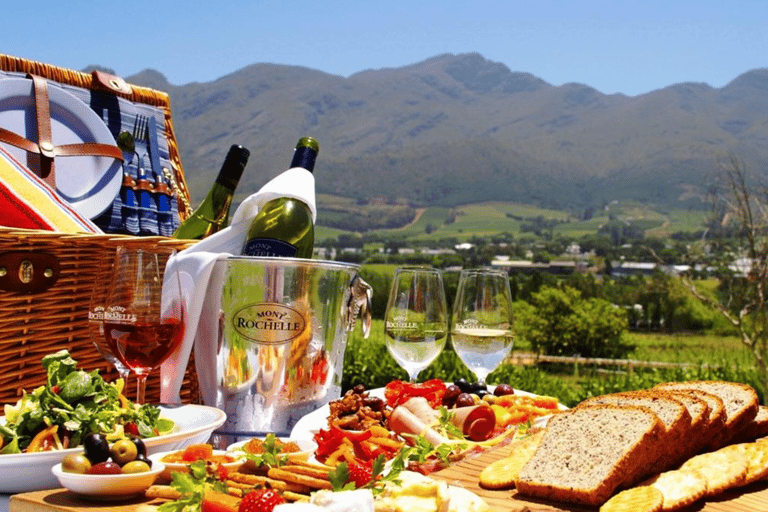 Cape Town: Wine Tasting, Giraffe House and Cheetah Encounter