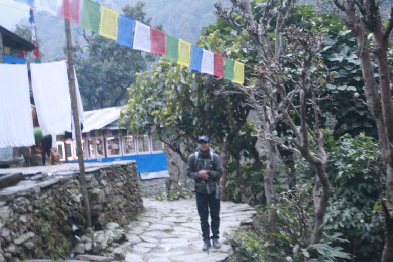 Découvrez la magie de Poon Hill : Un trek de 4 jours au départ de Pokhara