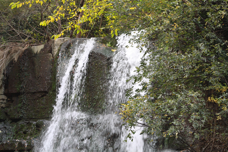 Tbilisi: Old Town Walking Tour with Wine & Boat Ride Options Private Tour