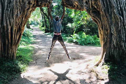 Excursão a pé de um dia para fazer um safári no Parque Nacional de Arusha