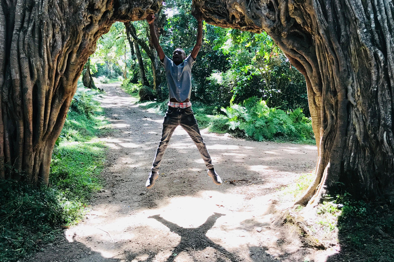 Excursão a pé de um dia para fazer um safári no Parque Nacional de Arusha