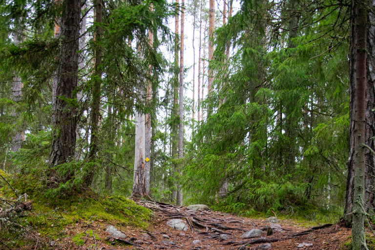 Wycieczka piesza do Parku Narodowego Nuuksio z Helsinek