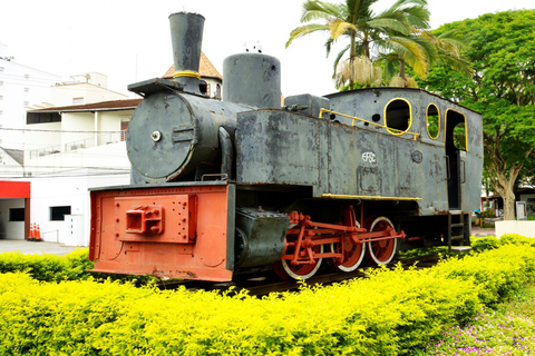 Florianópolis : excursion d'une journée sur la route germanique de Blumenau et Pomerode