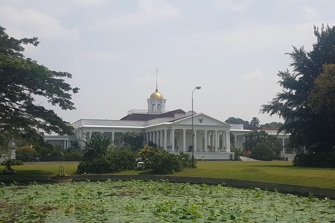 The Beautiful Garden, Rice Terrace and Waterfall In Bogor