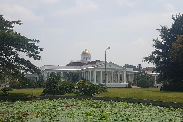 The Beautiful Garden, Rice Terrace and Waterfall In Bogor