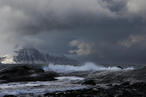 Tromsø: Fjord Adventure with Lunch and Photos Tromsø: Fjord Minibus Tour with Lunch and Free Photos