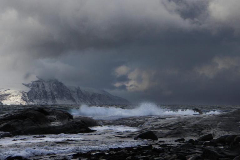 Tromsø: Fjord Adventure with Lunch and Photos Tromsø: Fjord Minibus Tour with Lunch and Free Photos