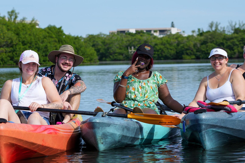 Sarasota: Guided Mangrove Tunnel Kayak Tour Lido Key