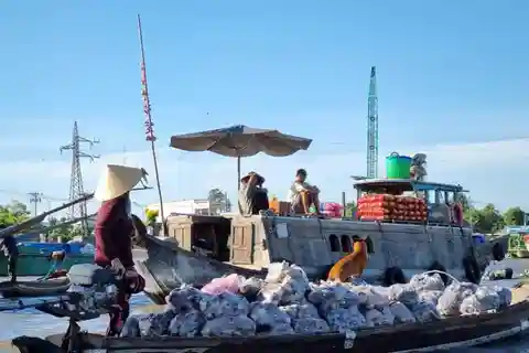 VANUIT HO CHI MINH STAD: MEKONG DELTA 2D1N MET 3 STERREN HOTEL