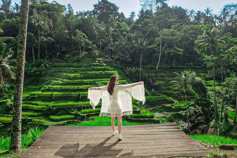 Ubud: Cascadas, Templo del Agua y Terrazas de Arroz Tour privadoTour privado con entrada Tikets