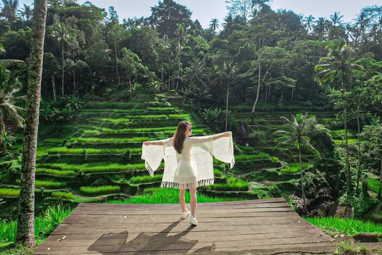 Ubud: Cascadas, Templo del Agua y Terrazas de Arroz Tour privadoTour privado con entrada Tikets