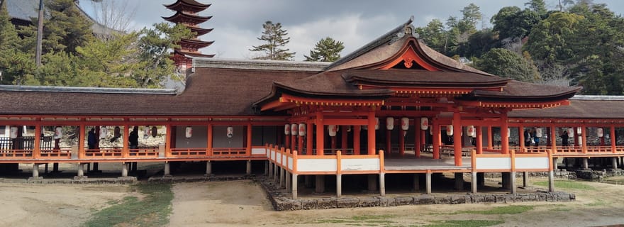 Sanctuaire d'Itsukushima : Visite guidée avec un habitant de la région