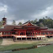 厳島神社厳島神社ガイドツアー - 2026件（実際の体験者からのレビュー）