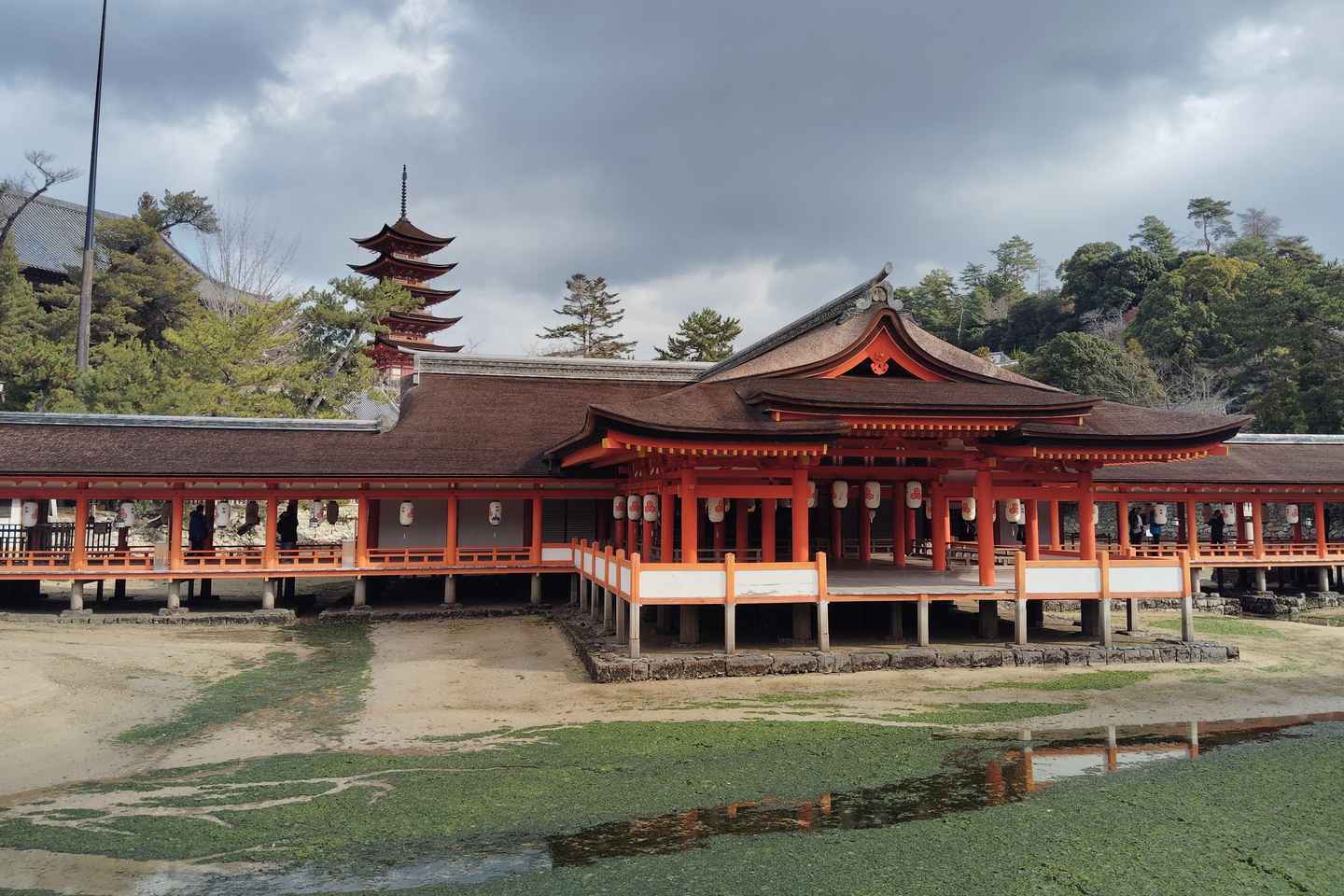 Itsukushima Shrine: Guided Tour with a Local - Itsukushima Shrine: Guided Tour with a Local