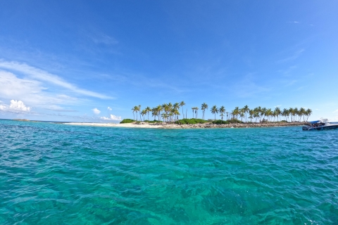 L'île Rose : Nager avec des cochons, faire de la plongée en apnée et déjeuner