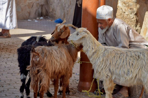 Muscat : Nizwa & Birkat AlMouz historical tour and lunch from Muscat : Nizwa & Oman’s Timeless Heritage Tour + lunch