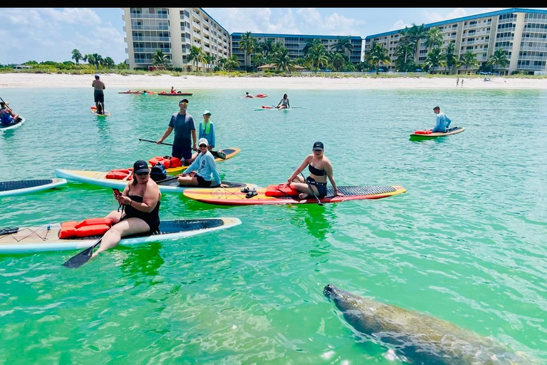 Fort Myers Dolphin & Manatee Kayak or Paddleboard Tour
