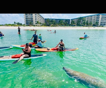 Marco Island: Guided Manatee-Watching Kayaking or SUP Tour