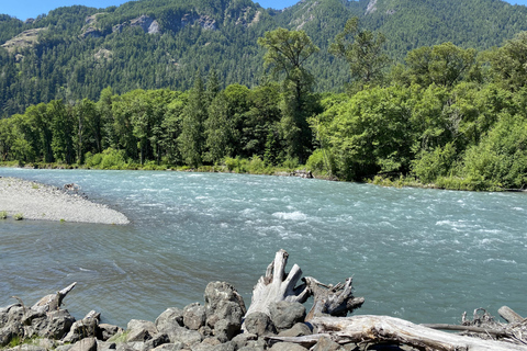 Olympic National Park: Half-Day Tour