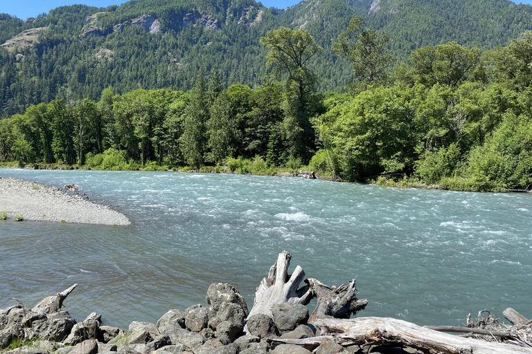Olympic National Park: Half-Day Tour