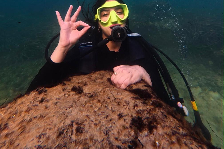 Mahdia: Guided Medina Tour and Scuba Diving Experience