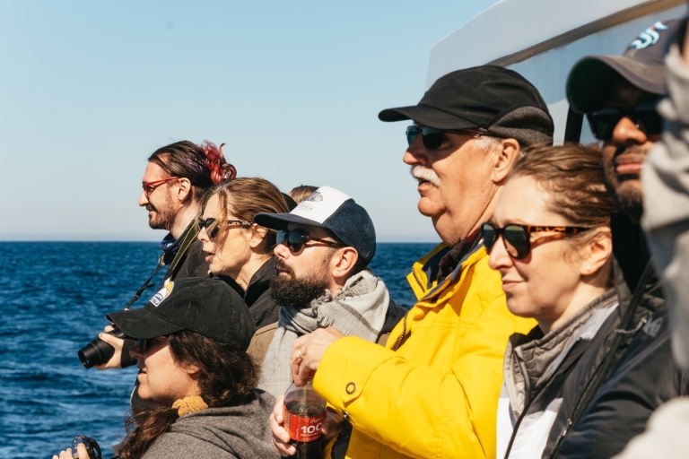 Bahía de Monterey: tour de avistamiento de ballenasDurante todo el año: avistamiento de ballenas por la tarde