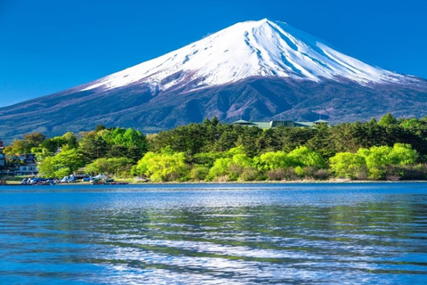 From Tokyo: Mt. Fuji & Hakone Private Scenic Day Tour