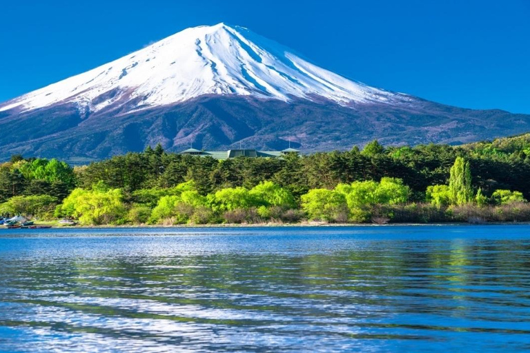 From Tokyo: Mt. Fuji & Hakone Private Scenic Day Tour