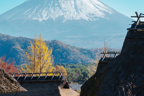 From Tokyo: Mount Fuji Private Customized Day Tour by Van Mt. Fuji & Hakone Full Day Private Customized Tour