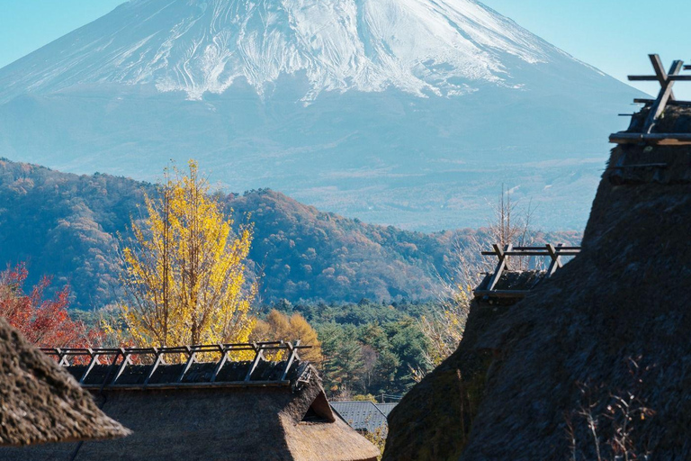 From Tokyo: Mount Fuji Private Customized Day Tour by Van Mt. Fuji & Hakone Full Day Private Customized Tour