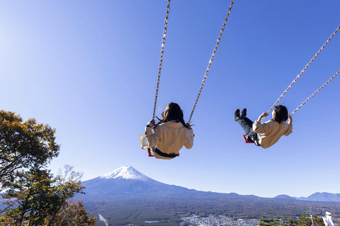Mount Fuji Day Tour: Instagrammable Spots + Scenic Train From Tokyo (Including ropeway and cruise)