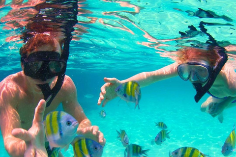 Sightseeing tour of the Rosario Islands (snorkeling, lunch and raccoons)