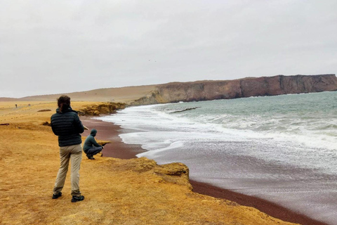 Paracas, Ballestas Islands, & Paracas National Reserve Tour from Ica