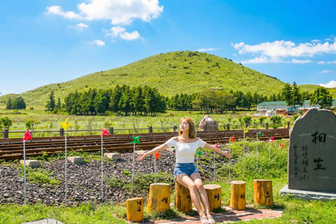 Jeju Island: Udo Island, Rail Bike, and Market Day Tour Private Tour (1-6pax) [9hr]