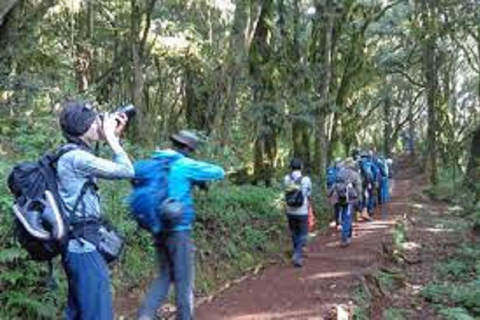 KILIMANJARO DAY TOUR THEOUGH MARANGU ROUTE ONE DAY HIKING MOUNT KILIMANJARO VIA MARANGU ROUTE