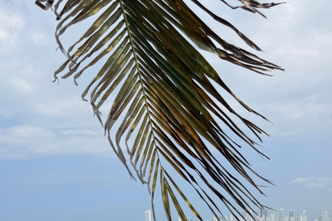 Cartagena: Palmarito Beach Day Trip with Lunch & Drinks