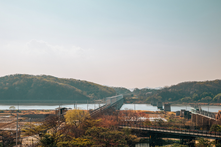 De Seul: Excursão particular de 1 dia à DMZ e ao Observatório OdusanDe Seul: DMZ Privado e Excursão de Dia Inteiro ao Observatório Odusan