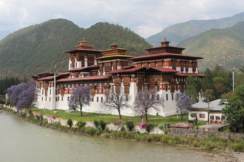 5 Day Bhutan Bird & Nature Photography Escape with Stay/Meal