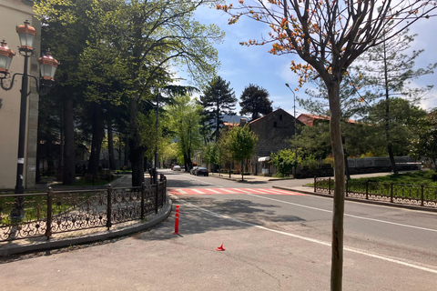 Från Tbilisi: Rundvandring i Mtskheta längs floden Aragvi